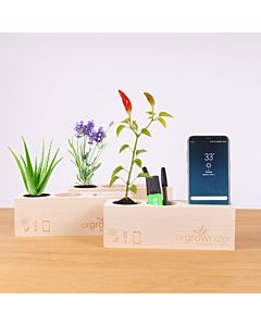 Orgrownizer - Schreibtisch-Organizer mit Pflanze
